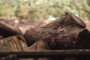 A detailed close-up of chopped firewood stacked outdoors, showcasing natural textures.