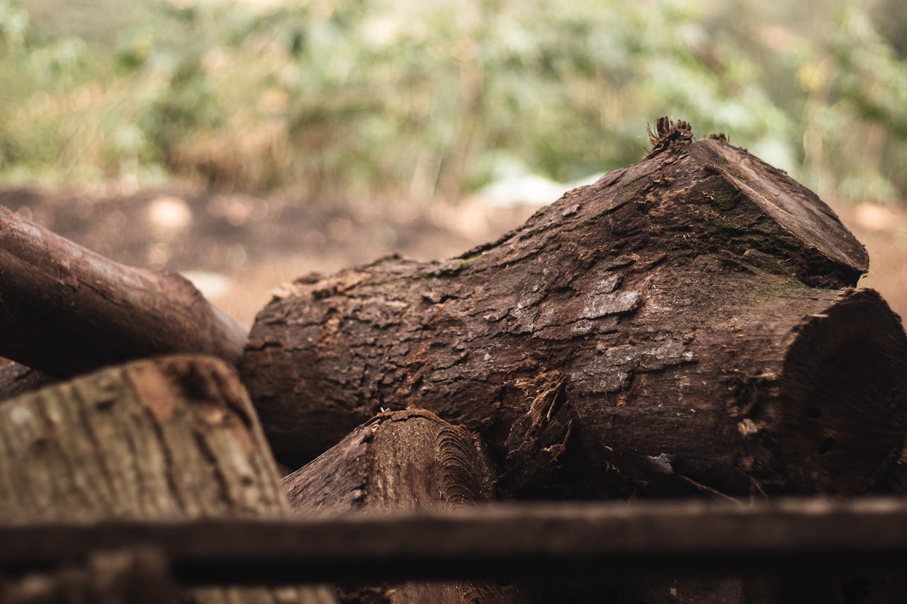 A detailed close-up of chopped firewood stacked outdoors, showcasing natural textures.
