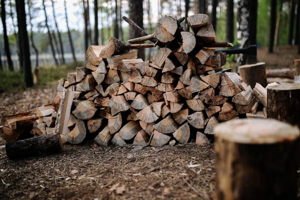 A pile of neatly stacked firewood in a quiet forest setting during daytime.